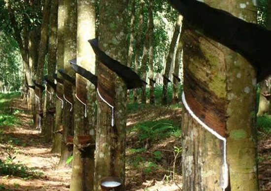 輪胎廠家、經(jīng)銷商的壓力傳導(dǎo)
