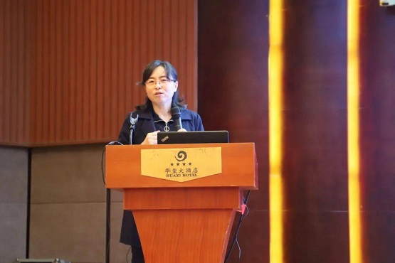 北京橡膠工業(yè)研究設(shè)計院有限公司材料研究所所長、教授級高級工程師陳宏