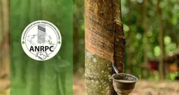 ANRPC預計2021年全球天橡膠產(chǎn)量1386 萬噸
