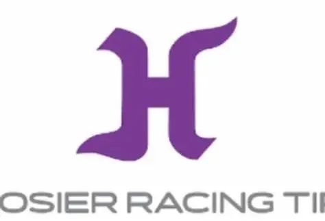 Hoosier 賽車(chē)胎公司更新logo