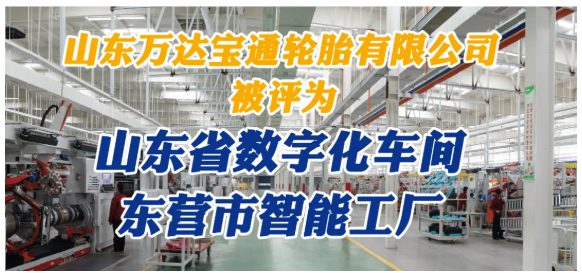 山東萬(wàn)達(dá)寶通輪胎對(duì)其全年工作做了詳細(xì)總結(jié)。