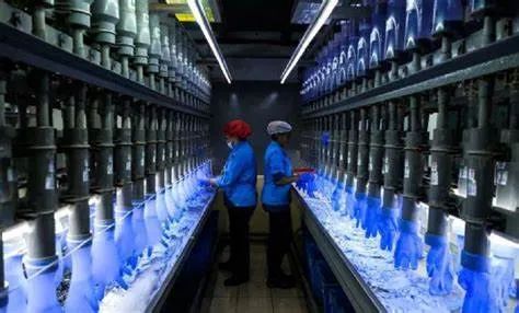 全球最大的橡膠手套制造商馬來西亞頂級手套公司 (Top Glove Corporation) 全球最大的橡膠手套制造商馬來西亞頂級手套公司 (Top Glove Corporation)