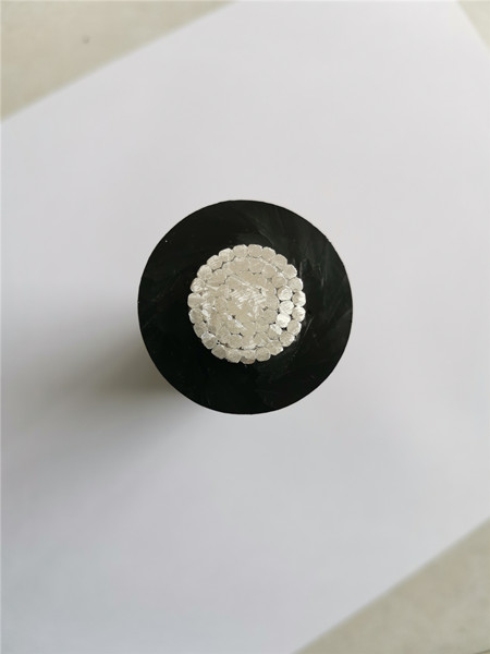 產(chǎn)品的出現(xiàn)填補(bǔ)了貴州市場空白