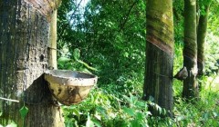 橡膠技術(shù)網(wǎng)：特種橡膠有哪些？