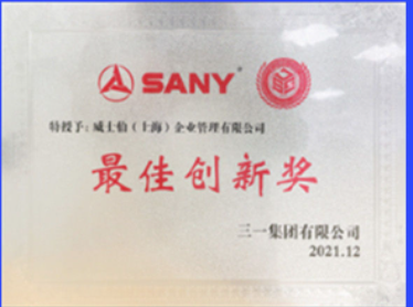 宣偉斬獲國內外多個重大獎項