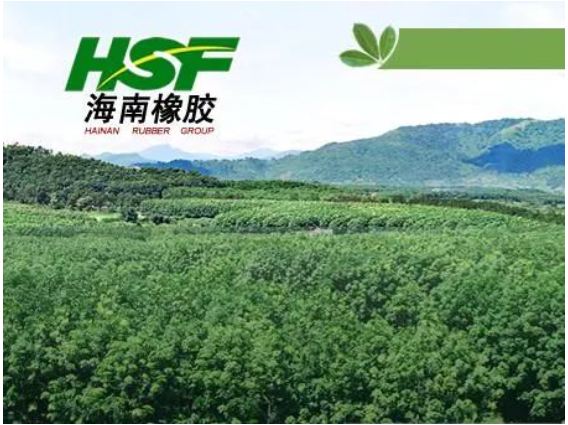 公司在不具有商業(yè)實(shí)質(zhì)的情況下進(jìn)行會(huì)計(jì)處理，導(dǎo)致多期年度報(bào)告財(cái)務(wù)信息披露不真實(shí)，違反了多項(xiàng)規(guī)定。