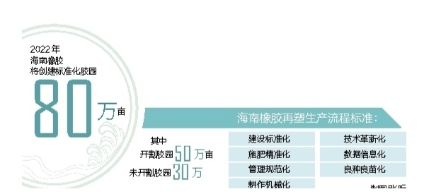 海南橡膠多舉措推進標準化膠園建設 推動天然橡膠產(chǎn)業(yè)提質增效 海南橡膠多舉措推進標準化膠園建設 推動天然橡膠產(chǎn)業(yè)提質增效