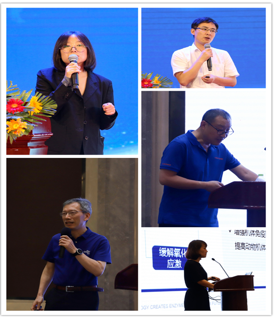 精彩紛呈的專家報告 精彩紛呈的專家報告