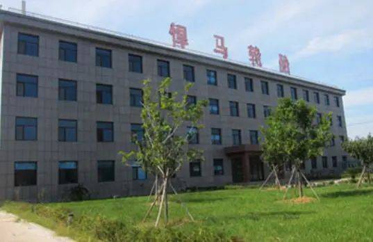 兩家輪胎公司，進(jìn)入省級(jí)名單 