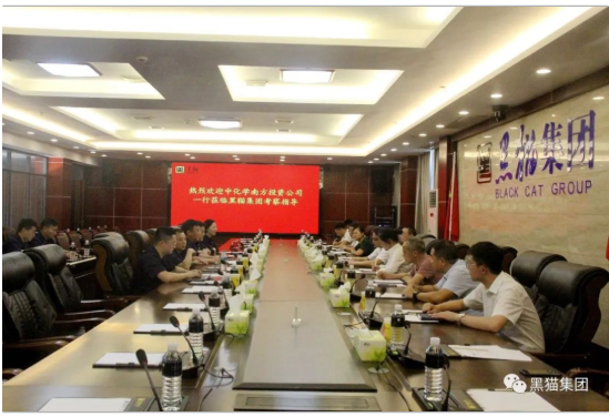 與會人員共同觀看了黑貓集團宣傳片，并就相關(guān)問題展開深入交流。