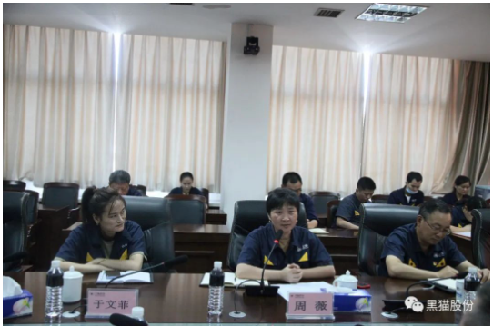 本次兩化融合管理體系貫標(biāo)啟動(dòng)大會(huì)的召開，標(biāo)志著黑貓股份兩化融合工作開啟了新的征程