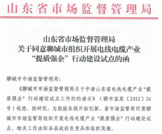 聊城市陽(yáng)谷縣被定為電線電纜產(chǎn)業(yè)“提質(zhì)強(qiáng)企”行動(dòng)建設(shè)試點(diǎn)