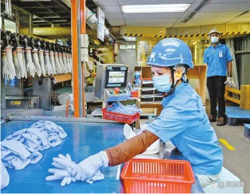 轉嫁額外成本是馬來西亞手套制造商面臨的一大挑戰(zhàn) 轉嫁額外成本是馬來西亞手套制造商面臨的一大挑戰(zhàn)