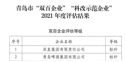 10.雙星集團(tuán)，全國國企改革“雙百企業(yè)”標(biāo)桿!