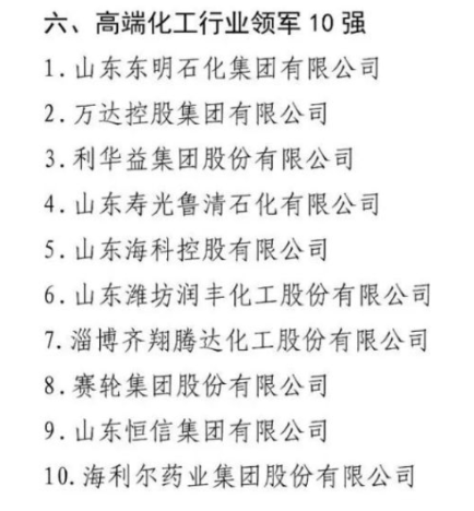 在今年高端化工行業(yè)領(lǐng)軍10強企業(yè)的評選中，賽輪集團與萬達集團共同入圍名單。