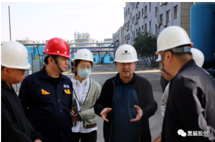 趙偉就烏海黑貓公司概況、發(fā)展規(guī)劃及生產經營情況向調研組進行匯報。
