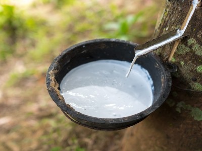 橡膠有哪些原材料？你不知道的橡膠知識