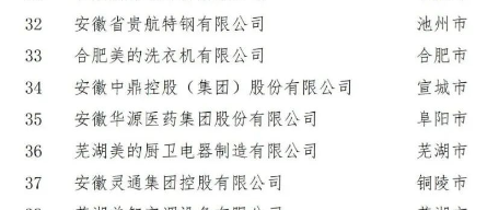 在合肥召開的第五屆2022世界制造業(yè)大會中國民營制造業(yè)合作交流對接會上，正式對外發(fā)布了2022安徽省民營企業(yè)制造業(yè)綜合百強。