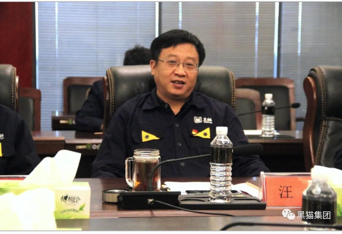 會上，汪羽代表黑貓集團(tuán)對李雨強(qiáng)一行的到來表示熱烈歡迎，并簡要介紹了集團(tuán)關(guān)于企業(yè)發(fā)展、海外市場、國際業(yè)務(wù)等工作情況。他表示，集團(tuán)將繼續(xù)加強(qiáng)與省外辦、市外辦對接聯(lián)系，全力以赴做好集團(tuán)外事工作，提高國際交流合作水平。