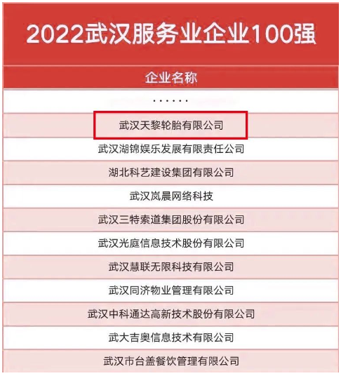 武漢天黎，連續(xù)五年入選政府榜單！