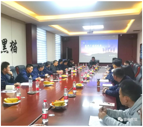 邯鄲黑貓召開“集思廣益謀發(fā)展、踔厲奮發(fā)開新局” 主題座談會