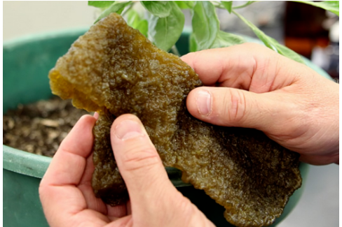 輪胎廠新項目，獲政府2.5億資助！