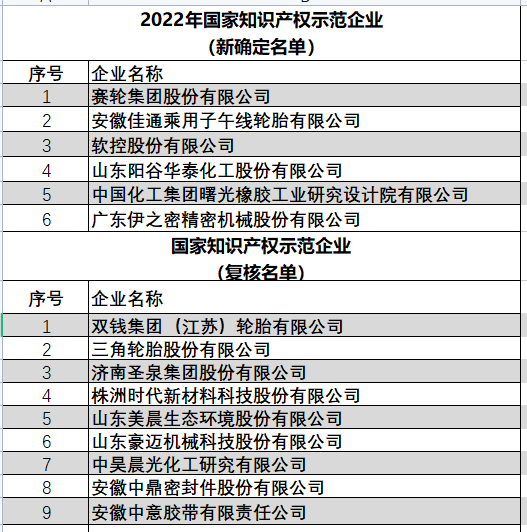 2022年國家知識產(chǎn)權(quán)優(yōu)勢企業(yè)（新確定名單）以及國家知識產(chǎn)權(quán)示范企業(yè)（復(fù)核名單）