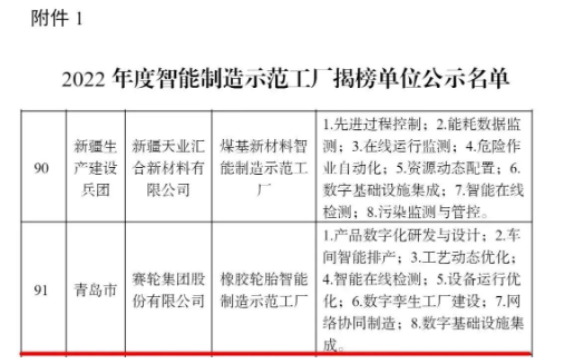 賽輪集團，上榜國家級名單