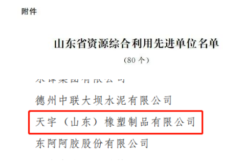 天宇(山東)橡塑制品有限公司位列其中。