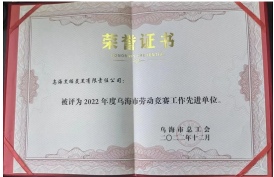 喜訊！烏海黑貓公司榮獲“烏海市勞動(dòng)競(jìng)賽工作先進(jìn)單位”稱號(hào)
