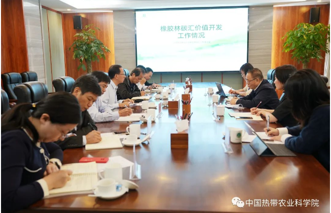 中國天然橡膠協(xié)會、國家天然橡膠產(chǎn)業(yè)技術(shù)體系?？谡窘M織開展產(chǎn)業(yè)調(diào)研