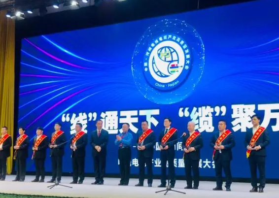 大會還頒發(fā)了“河間電線電纜產(chǎn)業(yè)突出貢獻(xiàn)獎”、“河間電線電纜產(chǎn)業(yè)銷售明星獎”，常豐線纜有限公司、華旗線纜有限公司、滄州會友線纜股份有限公司等10家企業(yè)獲得突出貢獻(xiàn)獎，竇義昌、宋福生、趙博娟等15人獲得銷售明星獎。此外，會上播放了“河間電線電纜產(chǎn)業(yè)專題片”，講述河間電線電纜發(fā)展史、產(chǎn)業(yè)總體情況、企業(yè)產(chǎn)品、未來發(fā)展等。