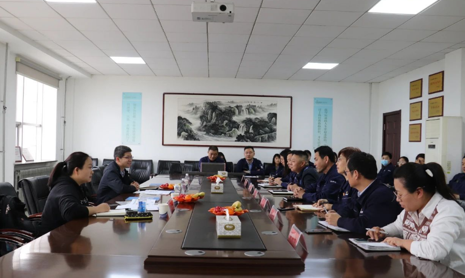 審核過程中，審核組以IATF16949質(zhì)量管理體系標(biāo)準(zhǔn)、ISO9001、ISO14001、GB/T45001管理體系標(biāo)準(zhǔn)、管理文件、產(chǎn)品標(biāo)準(zhǔn)、作業(yè)指導(dǎo)書等為審核準(zhǔn)則，通過現(xiàn)場查看和資料審查相結(jié)合的方式，深入車間生產(chǎn)現(xiàn)場、查閱了產(chǎn)品合同、物資采購合同、供方評價、不合格的處理流程以及客戶滿意度、出廠記錄等相關(guān)資料，并與相關(guān)負(fù)責(zé)人進行了溝通交流。