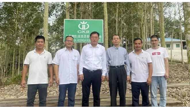 中國駐泰國宋卡總領(lǐng)事吳冬梅和中國駐馬來西亞古晉總領(lǐng)事邢偉平分別到訪廣墾橡膠泰國沙墩公司和廣墾橡膠馬來西亞砂撈越公司，考察了這兩家公司的生產(chǎn)情況和膠園管理情況，并聽取了企業(yè)經(jīng)營管理及黨建工作的匯報。