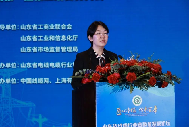 山東省工業(yè)和信息化廳裝備產(chǎn)業(yè)處副處長(zhǎng)齊采芹指出，山東省電線電纜行業(yè)協(xié)會(huì)的成立和發(fā)展，對(duì)于加強(qiáng)線纜行業(yè)內(nèi)交流與合作、推動(dòng)技術(shù)工藝標(biāo)準(zhǔn)化升級(jí)、搶抓細(xì)分領(lǐng)域核心優(yōu)勢(shì)、加快培育特色產(chǎn)業(yè)集群等有重要積極的意義，希望借助優(yōu)勢(shì)企業(yè)，開(kāi)展特色產(chǎn)業(yè)集群培育、制造業(yè)創(chuàng)新中心建設(shè)、大中小梯次企業(yè)培育、數(shù)字化轉(zhuǎn)型升級(jí)。