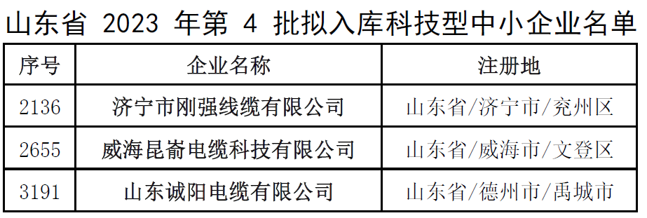 此次入庫名單的公示將為這些企業(yè)帶來更多的發(fā)展機遇和資源支持，同時也為其他科技型中小企業(yè)樹立了榜樣。