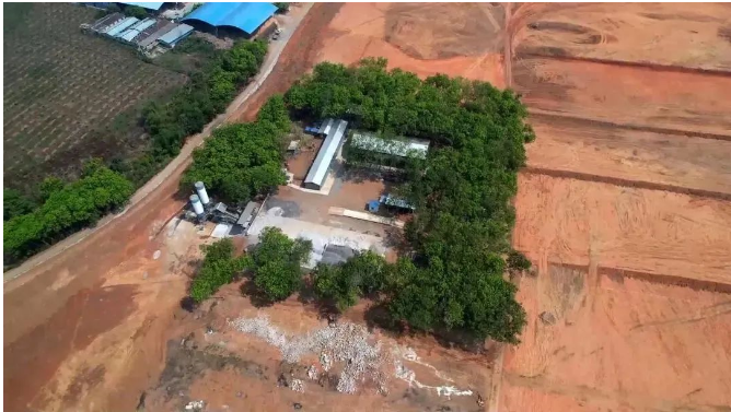 曼列橡膠加速推進(jìn)橡膠基地項(xiàng)目建設(shè)，助力地方經(jīng)濟(jì)增長(zhǎng)