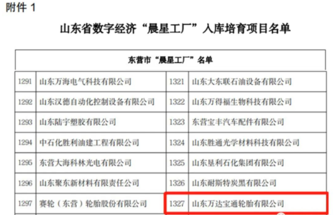山東省工業(yè)和信息化廳近日發(fā)布了《關于開展數(shù)字經(jīng)濟“晨星工廠”入庫培育工作的通知》。山東萬達寶通輪胎有限公司憑借其先進的生產(chǎn)制造技術和產(chǎn)業(yè)智能化系統(tǒng)的優(yōu)勢，成功入選該計劃。這也是該公司為推動數(shù)字經(jīng)濟發(fā)展，加快傳統(tǒng)制造業(yè)數(shù)字化、智能化轉(zhuǎn)型升級工作所獲得的又一榮譽。