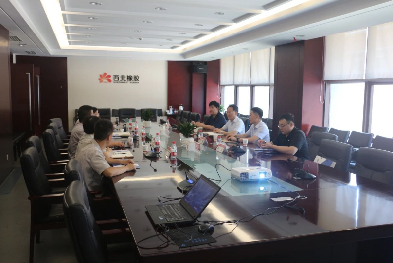 通用技術(shù)高新材料副總經(jīng)理李開占一行前往陜西延長石油西北橡膠有限公司進(jìn)行了交流訪問。公司副總經(jīng)理賀莉莉、相關(guān)部門負(fù)責(zé)人陪同。