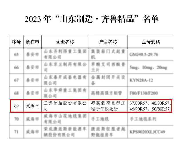 三角輪胎在這些榮譽中的獲得，充分展示了其在科學(xué)研究、工業(yè)領(lǐng)域和制造業(yè)發(fā)展方面的卓越表現(xiàn)。
