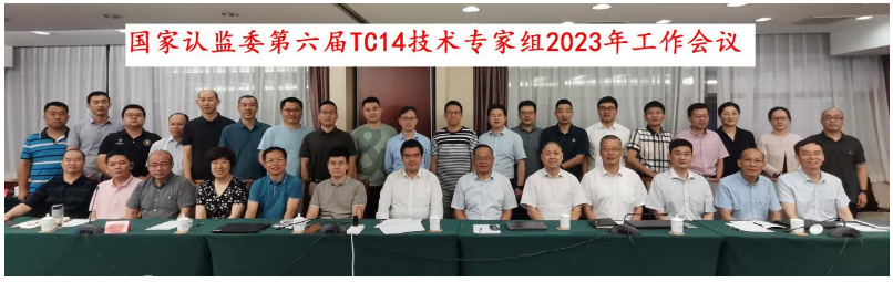 會(huì)議主要聚焦于新版方法標(biāo)準(zhǔn)GB/T521-2023、GB/T4501-2023、GB/T4502-2023的換版要求，以及輪胎滾動(dòng)阻力、濕路面相對(duì)抓著性能的納入GB 9743、GB 9744發(fā)布實(shí)施后輪胎CCC認(rèn)證實(shí)施方案。同時(shí)，專家們還深入探討了在認(rèn)證檢測(cè)實(shí)施過(guò)程中所面臨的技術(shù)難題。