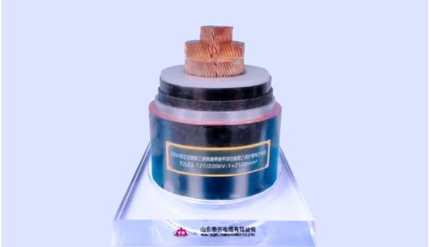 展望未來，泰開電纜表示將繼續(xù)發(fā)揮科研平臺(tái)在關(guān)鍵技術(shù)攻關(guān)、科技成果轉(zhuǎn)化、創(chuàng)新人才培養(yǎng)、產(chǎn)學(xué)研協(xié)同發(fā)展等方面的重要作用，力爭(zhēng)實(shí)現(xiàn)新產(chǎn)品、新技術(shù)、新工藝方面的再突破，助力行業(yè)和產(chǎn)業(yè)鏈的協(xié)同發(fā)展!