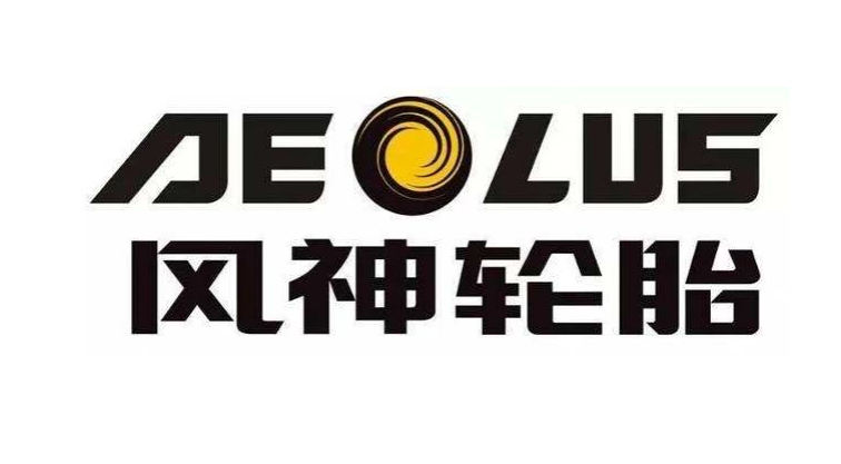 河南省制造業(yè)頭雁企業(yè)名單正式對外公布。在這份名單中，風神輪胎股份有限公司脫穎而出，成為唯一入選的輪胎企業(yè)。