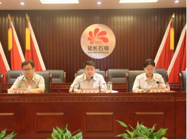 該公司2023年半年工作會(huì)議的召開(kāi)，為陜西延長(zhǎng)石油西北橡膠有限公司下半年的發(fā)展奠定了堅(jiān)實(shí)基礎(chǔ)。
