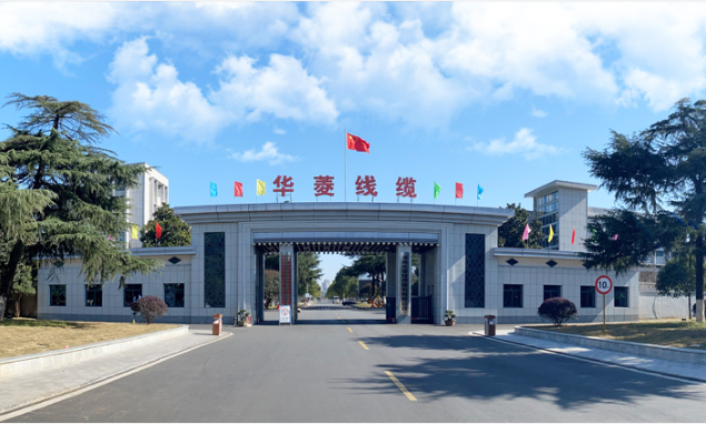華菱線纜表示將繼續(xù)積極響應“雙碳”號召，進一步開拓綠色新能源行業(yè)，推動行業(yè)能源清潔化、低碳化、高質(zhì)量發(fā)展。公司將致力于提供更加優(yōu)質(zhì)的產(chǎn)品和服務，實現(xiàn)社會、客戶與企業(yè)共贏目標。