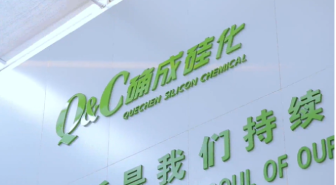 確成硅化學(xué)股份有限公司自成立至今，專注于沉淀法二氧化硅產(chǎn)品的研發(fā)、制造和銷售，經(jīng)過20年的發(fā)展，已經(jīng)成為全球主要的二氧化硅產(chǎn)品專業(yè)制造商之一。確成股份擁有從原材料硫酸、硅酸鈉到最終產(chǎn)品二氧化硅的制造產(chǎn)業(yè)鏈，產(chǎn)品主要市場聚焦在橡膠工業(yè)領(lǐng)域的高性能子午線綠色輪胎配套專用材料以及動物營養(yǎng)品領(lǐng)域的動物飼料載體用二氧化硅。此外，確成股份在國內(nèi)外擁有多個生產(chǎn)基地，總產(chǎn)能位列世界第三位，主要客戶包括國際知名輪胎和動物營養(yǎng)品公司。