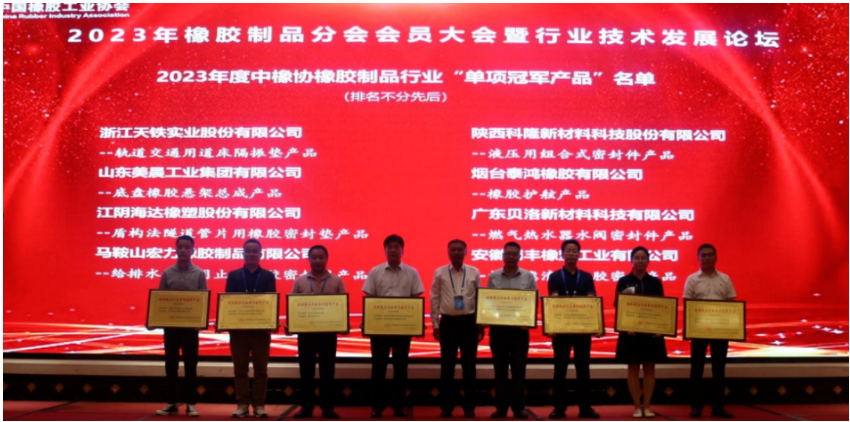 在行業(yè)技術(shù)發(fā)展論壇上，15位嘉賓在橡膠密封、軌道交通、產(chǎn)品檢測、原材料等領(lǐng)域為與會代表做了精彩的報告。