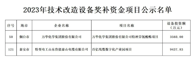 根據(jù)山東省政府《關(guān)于印發(fā)2023年“穩(wěn)中向好、進(jìn)中提質(zhì)”政策清單(第一批)的通知》(魯政發(fā)〔2022〕18號)以及《關(guān)于組織申報(bào)2023年技術(shù)改造設(shè)備獎補(bǔ)資金項(xiàng)目的通知》(魯工信規(guī)〔2023〕109號)的要求，山東省工業(yè)和信息化廳積極組織并展開了2023年技術(shù)改造設(shè)備獎補(bǔ)資金項(xiàng)目評審工作。在經(jīng)歷了企業(yè)申報(bào)、各市推薦、財(cái)務(wù)審核、專家評審、部門核查等多個(gè)環(huán)節(jié)后，最終擬定了包含216個(gè)項(xiàng)目的2023年技術(shù)改造設(shè)備獎補(bǔ)資金項(xiàng)目名單。