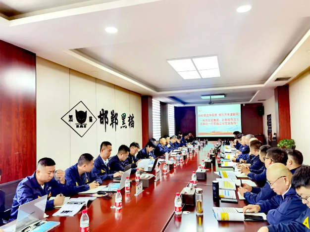 在邯鄲黑貓公司的調研會上，盛旺喜明確了現場管理的數字化改革進程，并要求標準化工作流程，以提高工作效率。他強調員工應積極參與現場維護，提高員工的歸屬感和責任感。此外，他強調要堅決杜絕“八大浪費”，以使生產過程更加科學規(guī)范。