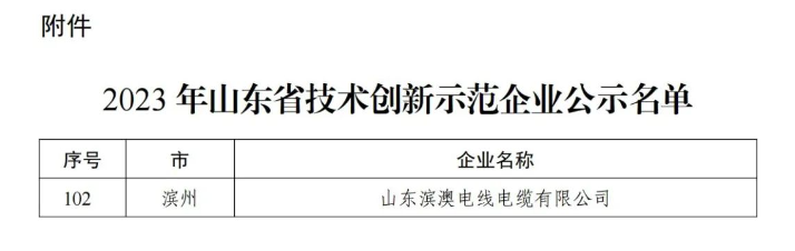 據(jù)悉，山東濱澳電線電纜有限公司先后獲得國家級(jí)高新技術(shù)企業(yè)、山東省企業(yè)技術(shù)中心、省級(jí)專精特新中小企業(yè)、濱州市科技型中小企業(yè)等多項(xiàng)榮譽(yù)，并擁有十余項(xiàng)專利成果。公司目前擁有超過120名員工，其中有20余名從事研發(fā)技術(shù)工作。其全國工業(yè)產(chǎn)品生產(chǎn)許可證證書以及強(qiáng)大的技術(shù)創(chuàng)新能力、健全的質(zhì)量保障體系和科學(xué)的管理模式為企業(yè)不斷壯大提供了持續(xù)動(dòng)力。